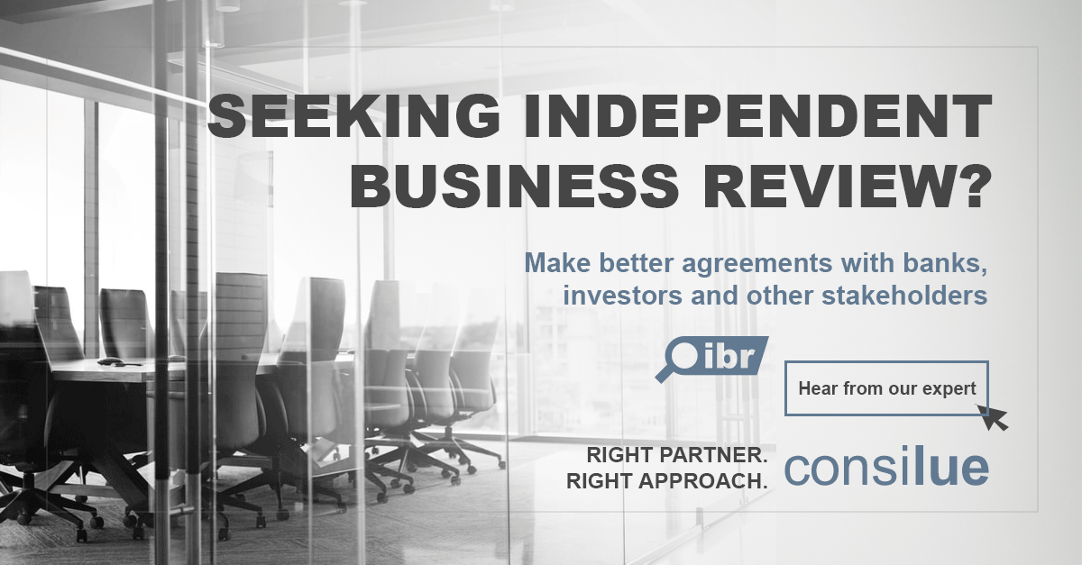Independent business review - IBR